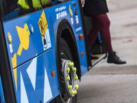 Felszáll a Rigó az első autóbuszra Budapesten