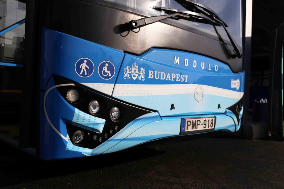 121162014 1847268272082689 7048204742453419443 o