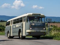 Obsitos Ikarus 66-ossal a Szentendrei Skanzenhez