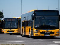 Újabb MAN csuklósok állnak az utazóközönség szolgálatába