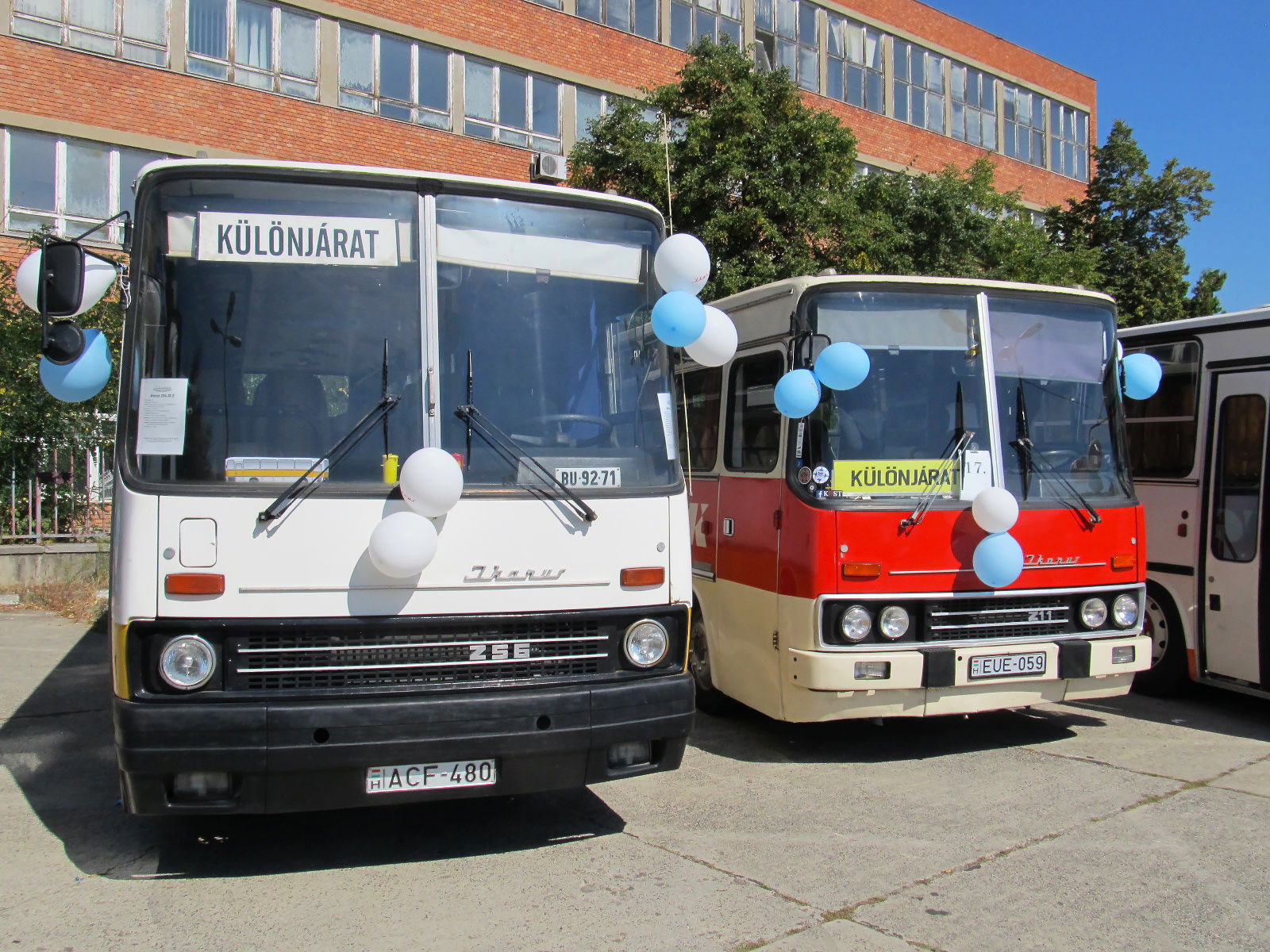 Képösszefoglaló: XV. Ikarus nap Mátyásföldön 13 IMG 4925b