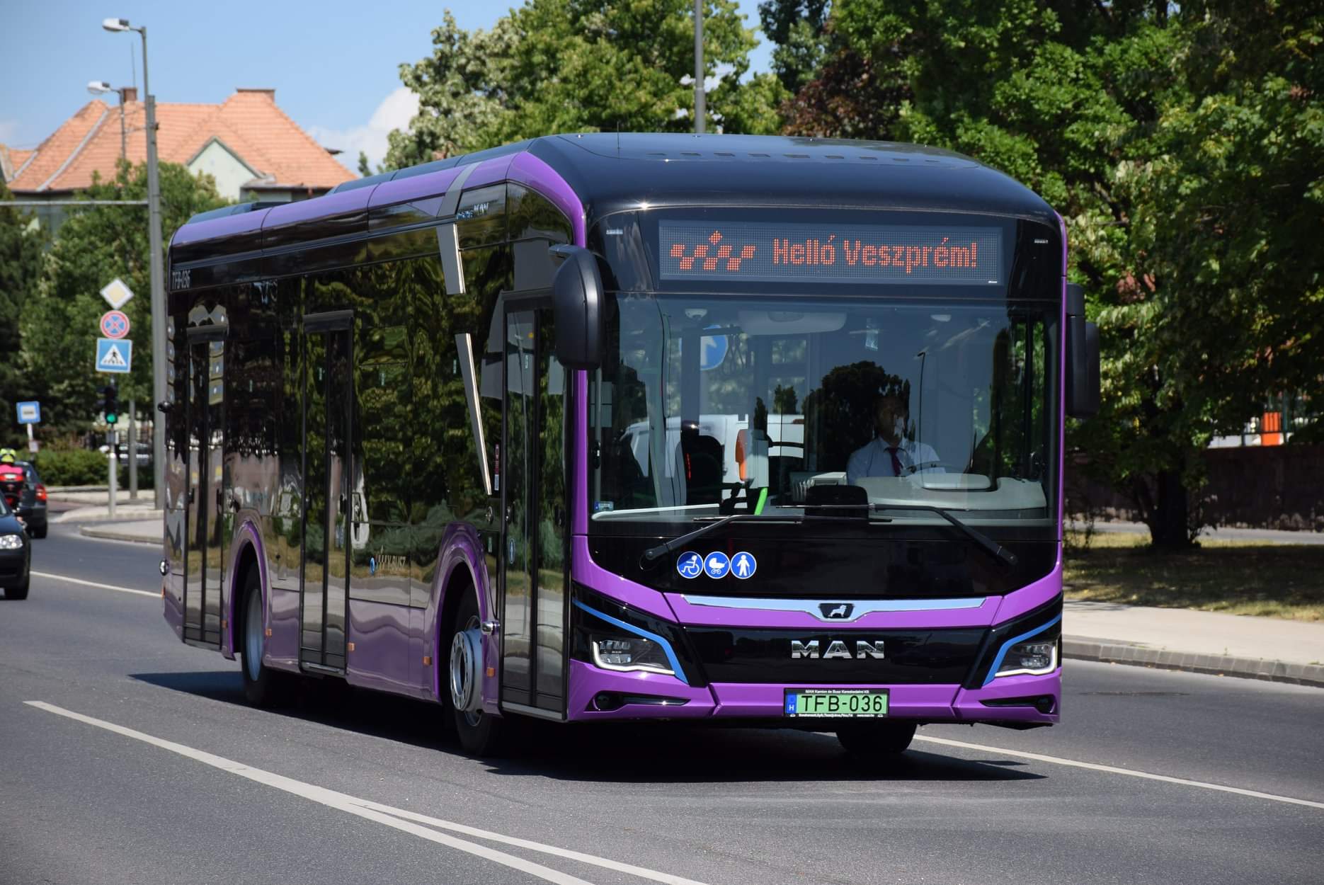 Átadták a V-Busz elektromos „városi oroszlánjait”