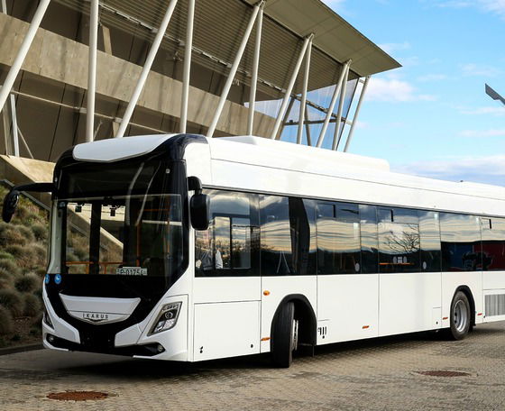 Az Ikarusé az egyetlen beérkezett ajánlat a lengyelországi Kalisz villanybusz-tenderén