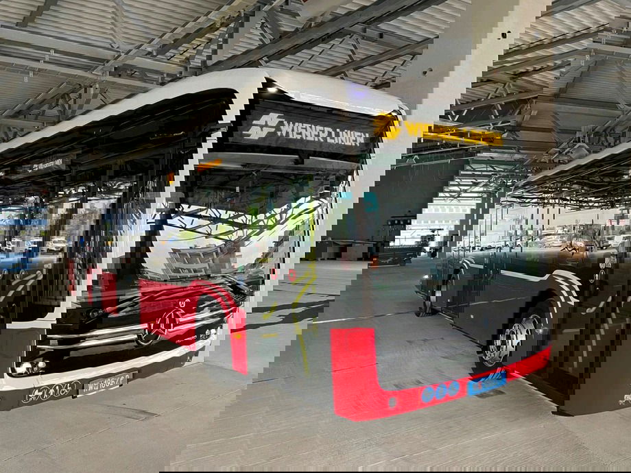 image 7eb03c0f cb92 4807 88d8 bcd7f7cea0dd20230730 171020