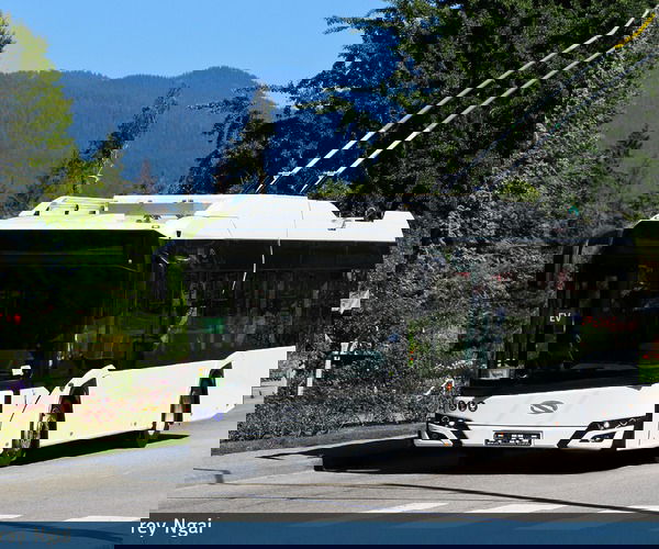 Önjáró Solaris Trollinót tesztel a kanadai TransLink