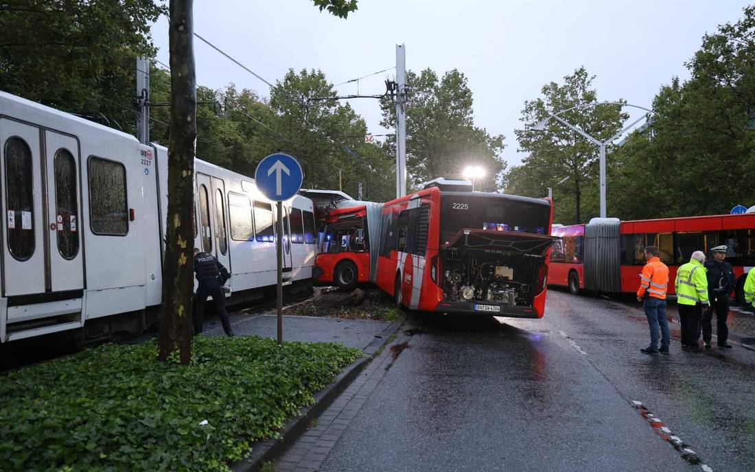 w1100 h688 x1024 y682 WhatsApp Image 2023 08 09 at 06.34.34 1 a2ff6055d3fa0f20