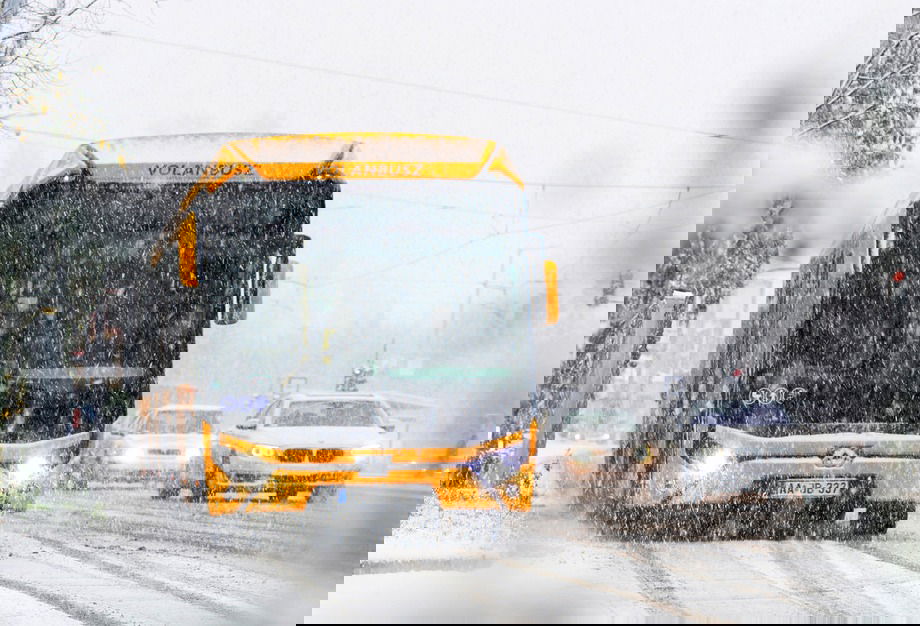 407771722 666091409055525 7304527697011440302 n