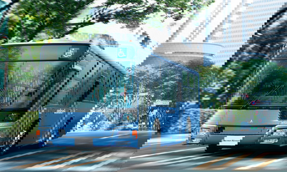 14MP Ecology 2a cimlapkep b