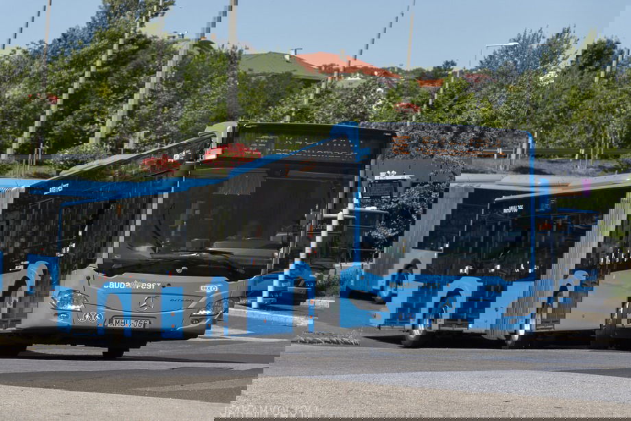 Jövőre 100 darab vadonatúj csuklós Mercedes-Benz Citaro G-t állít forgalomba az ArrivaBus Budapesten