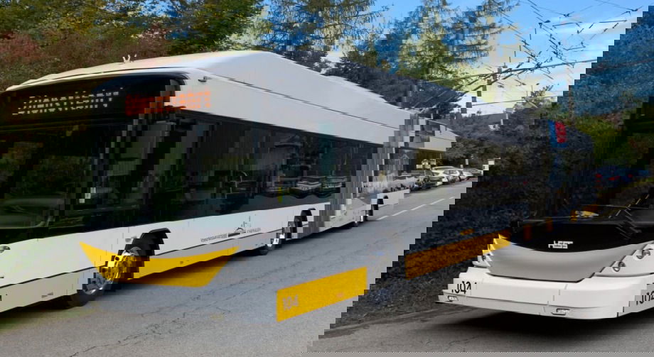 89052535 127485045482285 1666871760991027200 n