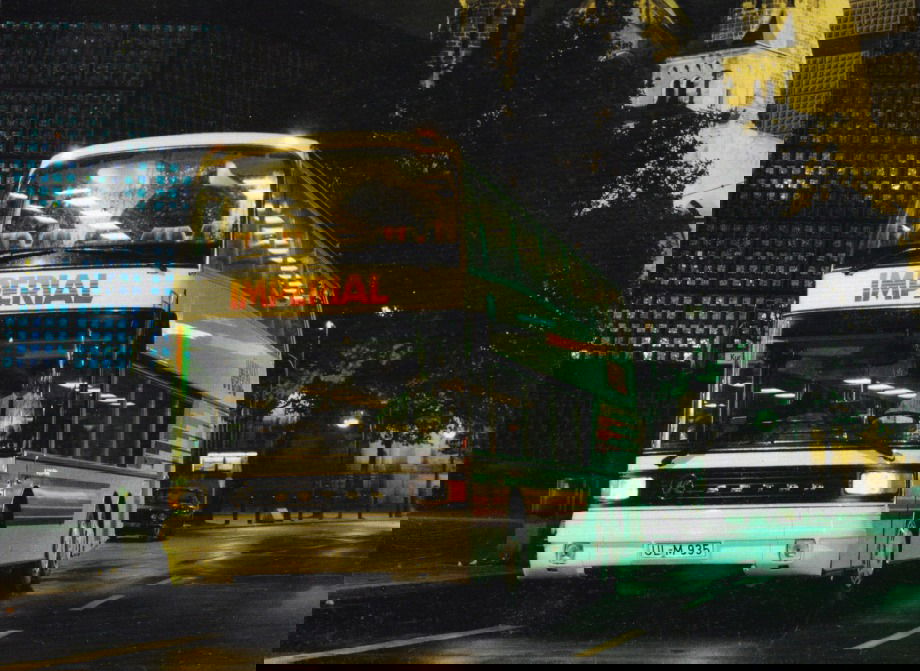 316681416 5430845610317620 2789299823553354843 n