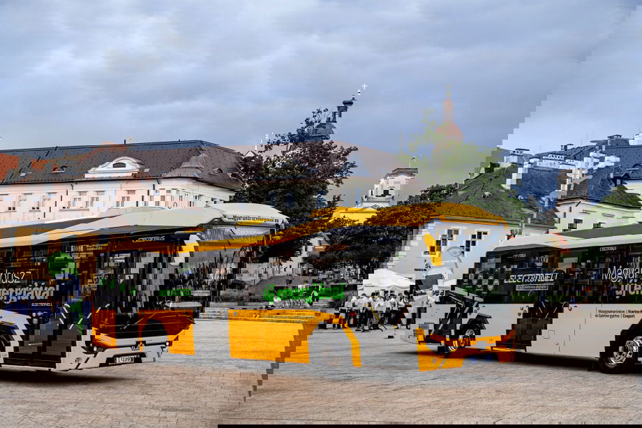 447657145 866345282186922 5204388252735920207 n