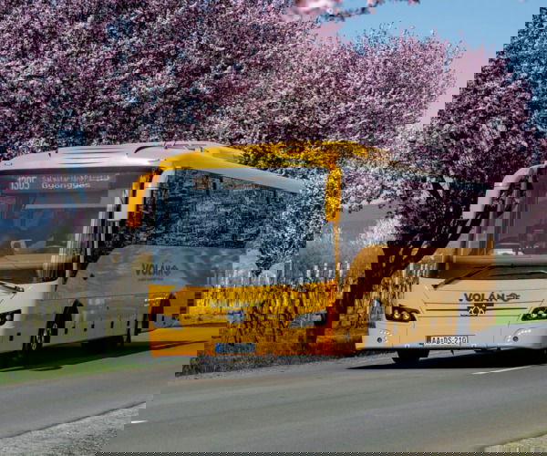 Helyközi autóbuszos közszolgáltatás 10 évre: finanszírozás, flotta és teljesítmény