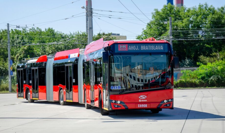 486613353 1072483638249974 2553131109482025555 n21