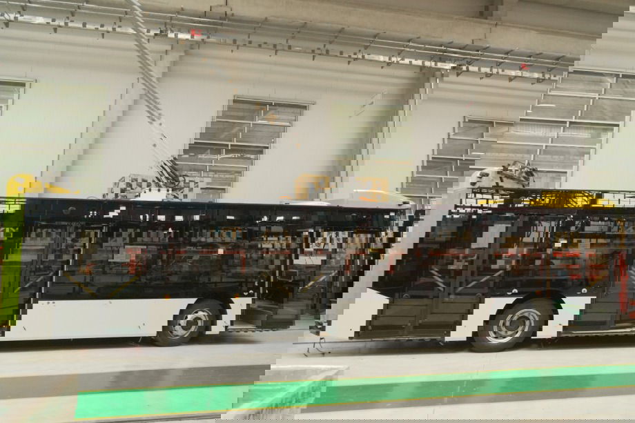 490212950 1197265555102259 4087317656890740379 n