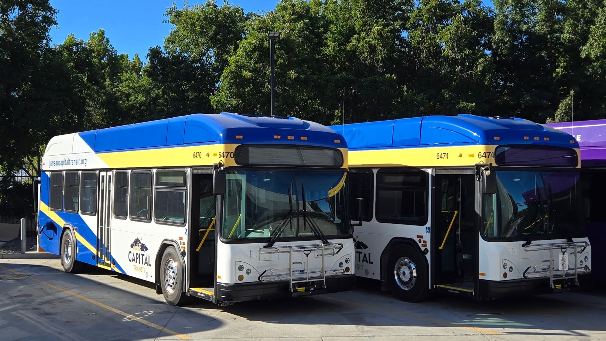 Minimálisan bővült 2024-ben az észak-amerikai városi autóbuszpiac 3 461510379 835097468796929 185653795771038553 n