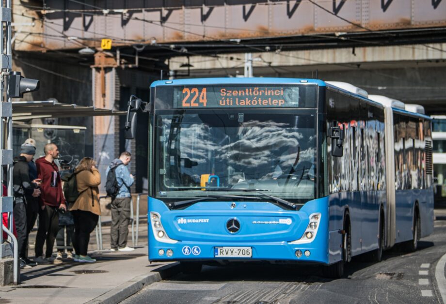 481244030 1038399494984352 4088878187191866459 n