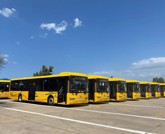 Háromszáz darabos tunéziai megrendelést teljesített a King Long