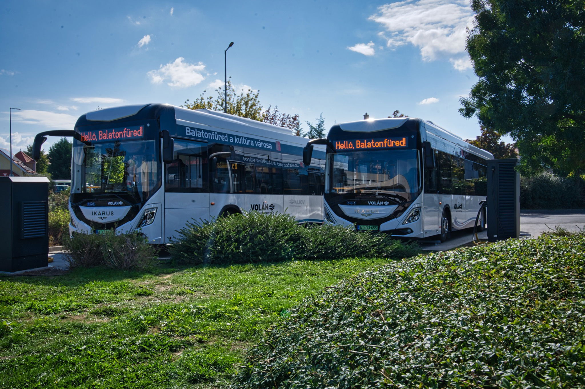 Újabb három Ikarus 120e állt forgalomba a Volán kötelékében, ezúttal Balatonfüreden 2 557864995 1118919143705234 7429040977321807438 n