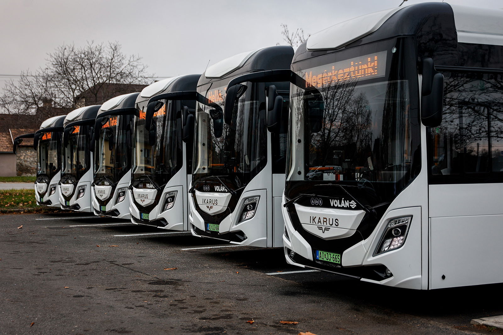 Tatára is megérkeztek a Volán új Ikarus 120e villanybuszai 2 OP 9653b