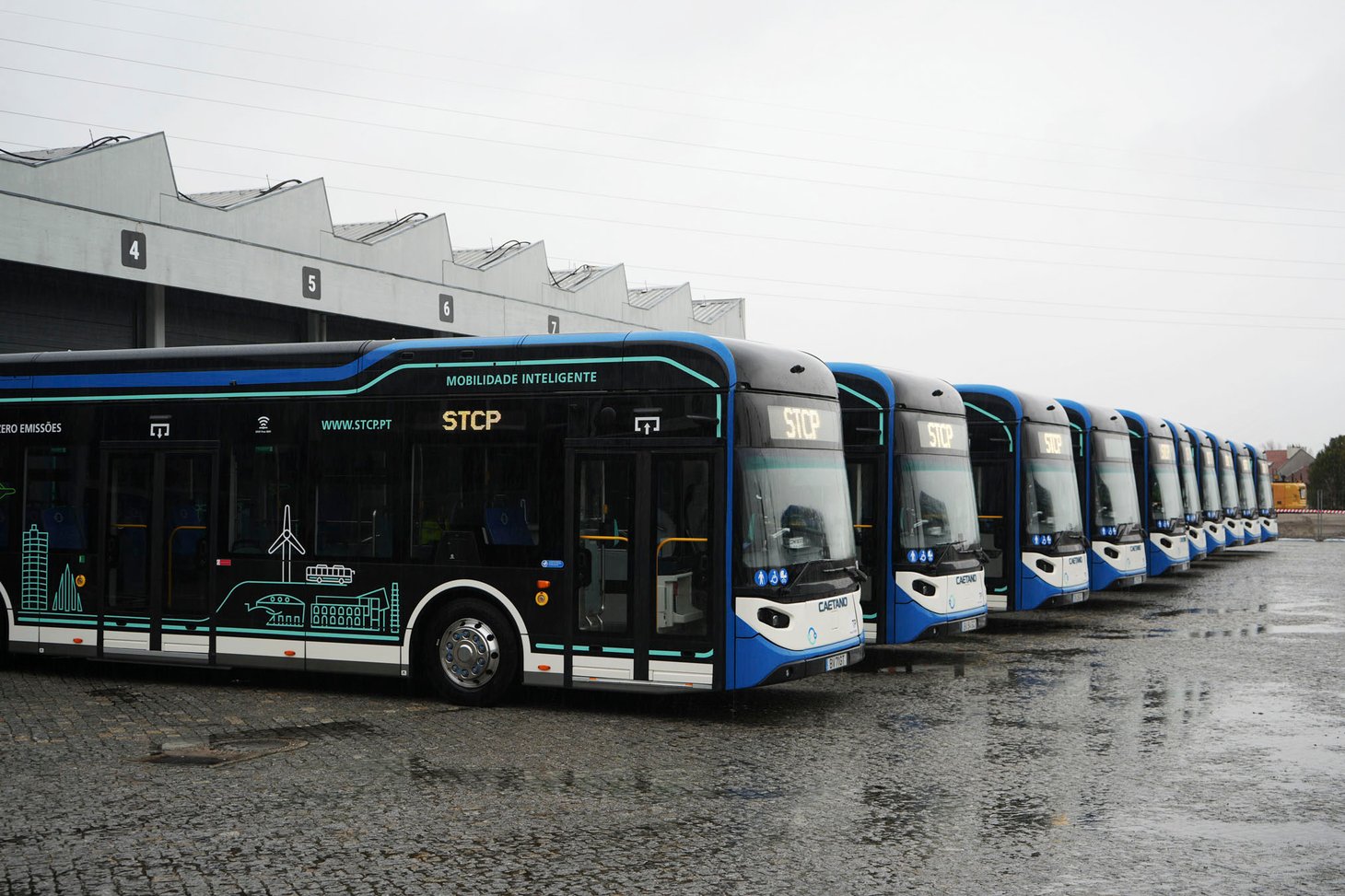 Portóban álltak forgalomba az első, Kínában gyártott CaetanoBus e.City Gold villanybuszok 4 DR autocarros eletricos STCP 2026 07