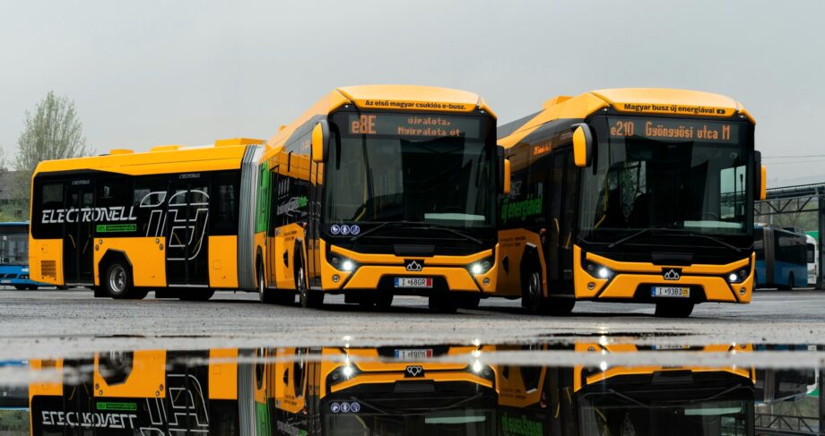 498598814 1240313351437794 692480377746620232 n