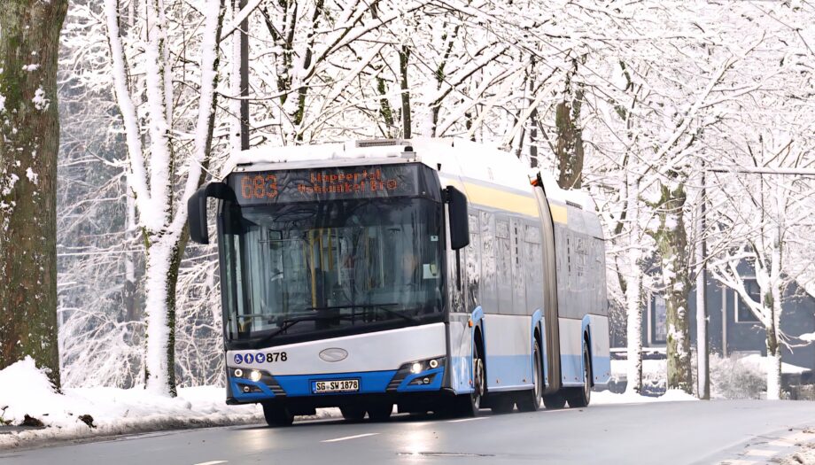 610900229 1450946850369065 5527967631486740251 n